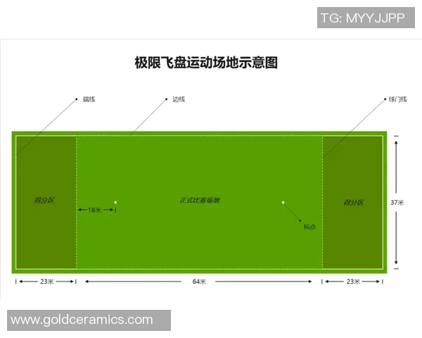 广州飞盘队状态分析与发展前景探讨聚焦飞盘运动的魅力与挑战
