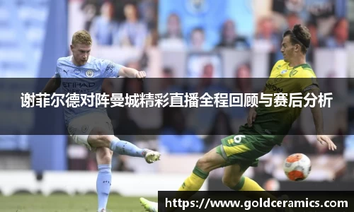 谢菲尔德对阵曼城精彩直播全程回顾与赛后分析