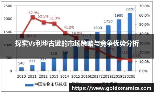 探索Vs利华古逊的市场策略与竞争优势分析