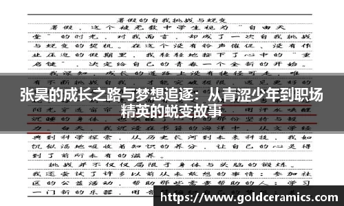 张昊的成长之路与梦想追逐：从青涩少年到职场精英的蜕变故事